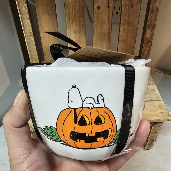 Rae Dunn/ Peanuts Measuring Cups ~ ONE set - Picture 2 of 4